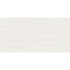 Плитка 9MSB Marvel Bianco Dolomite 40x80