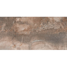 Керамическая плитка ABK FOSSIL FOSSIL FOSSIL BROWN NAT 30x60