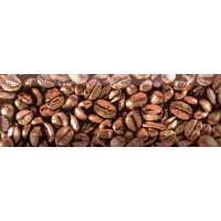 Керамическая плитка Absolut Keramika Monocolor Decor Coffee Beans 03
