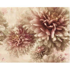 Керамическая плитка Alcor Lugano Decor Floral Lugano 2pz Nude 40x50