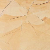 Керамогранит Aleluia Ceramicas Teak Wood Teak Wood Amarelo s/Polido(45.5х45.5)