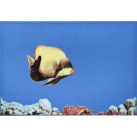 Керамическая плитка Atem Mono Color FISH 1 275x400