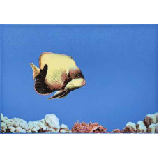 Atem Mono Color FISH 1 275x400