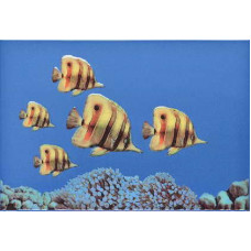 Керамическая плитка Atem Mono Color FISH 2 275x400