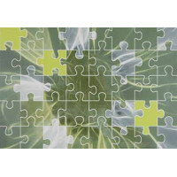 Керамическая плитка Azulejos Alcor SL Lyon Dec.LYON Puzzle Verde