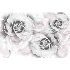 Azuliber Gloss Infinity Conjunto Infinity Roses 2x20x60