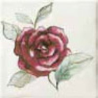 Керамическая плитка Bayker Memorie Ins. Jardin Rosa Bianco 10x10