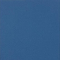 Керамическая плитка Casalgrande Padana Unicolore Blu Forte 20x20 натуральный