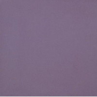 Керамическая плитка Casalgrande Padana Unicolore Violet 20x20 натуральный