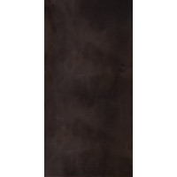 Керамическая плитка Ceracasa Damore 30x62.3 Dark Alto Brilo Rect.