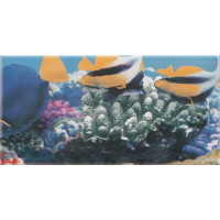 Керамическая плитка Ceranosa Plaqueta Decor Ocean 4 Декор 10x20