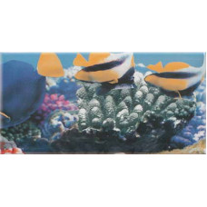 Керамическая плитка Ceranosa Plaqueta Decor Ocean 4 Декор 10x20