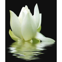 Керамическая плитка Cerrol City City White Lilies Панно 60x50 (3пл)