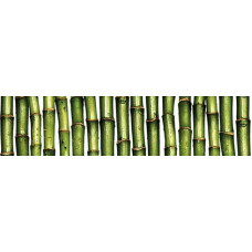 Cersanit Jungle Jungle Зеленый (C-JU1C021) 6*25