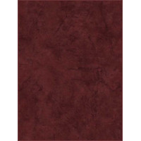 Керамическая плитка Cersanit Tokio Tokio настенная коричневая (TKM191R) 25x35
