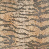 Керамическая плитка Cifre Animal ANIMALS Tiger 45x45