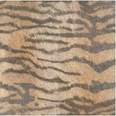 Керамическая плитка Cifre Animal ANIMALS Tiger 45x45