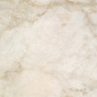 Керамическая плитка Fanal Carrara Carrara 32.5x32.5