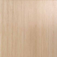 Керамическая плитка Fanal Neox Neox crema lapado 59x59