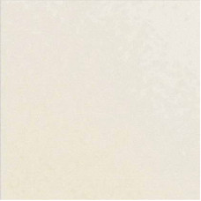 Керамическая плитка Fiorano Fiorano FIORANO 600 x 600 полированный PY 000 Normal White белый моноколор