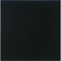 Керамическая плитка Ibero Roppe Parka Black (31.6x31.6)