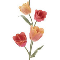 Керамическая плитка Keros Ceramica Varna Tulips Calidos Панно (из 3-х плиток ) 50х75