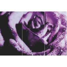 Керамическая плитка LARSCeramica Арт Панно Панно Фиолетовая Роза GC 306003-03 (1-3)