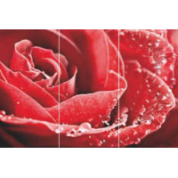 Керамическая плитка LARSCeramica Арт Панно Панно Red Rose GC 306003-02 (1-3)