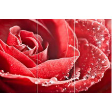 Керамическая плитка LARSCeramica Лолита Панно Red Rose GC 306003-02 (1-3)