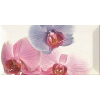 Керамическая плитка Monopole Ceramica Bisel Decor Orchidea 1 Декор 10x20