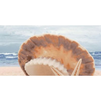 Керамическая плитка Нефрит Керамика Аликанте Аликанте декоративный массив Жемчужина на море (верх) 25х50