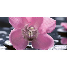 Нефрит Керамика Болеро Болеро декор Орхидея черный 10-04-04-162-1