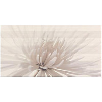 Керамическая плитка Opoczno AVANGARDE AVANGARDE flower 29.7x60