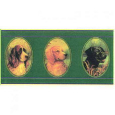 Petracers Grand Elegance B DOGS dogs 10x20