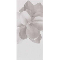 Керамическая плитка Glam GLAM 0016023 BEIGE DECORO CAMELIA 20x45