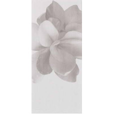 Polis Glam GLAM 0016023 BEIGE DECORO CAMELIA 20*45