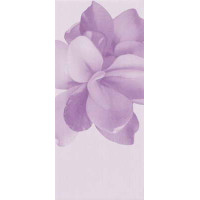 Керамическая плитка Glam GLAM 0016025 ROSE DECORO CAMELIA 20x45