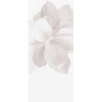 Керамическая плитка Glam GLAM 0016026 BLANC DECORO CAMELIA 20x45