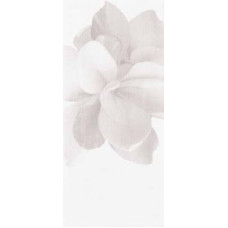 Керамическая плитка Glam GLAM 0016026 BLANC DECORO CAMELIA 20x45