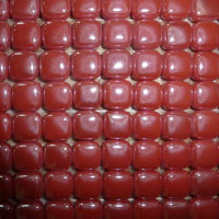 Керамическая плитка Seranit GOCCIA INCI INCI 10x10 РТ 001 30.0х30.0
