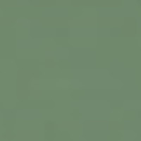 Керамическая плитка Seranit SERASTONE SST253 SERASTONE 253(зеленый) 600x600