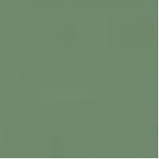 Керамическая плитка Seranit SERASTONE SST253 SERASTONE 253(зеленый) 600x600