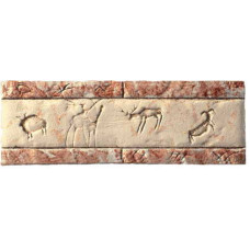 Serenissima Cir Quarry Stone Listello Graffiti Corallo 7x20