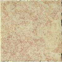 Керамическая плитка Tagina Ceramiche Eldorado 5TF0220