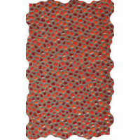 Керамическая плитка Venis Maui Red 20x31.6